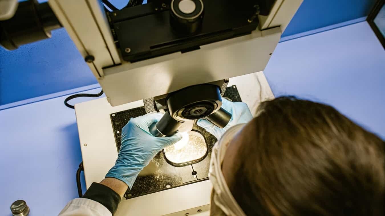 Advantages and Disadvantages of Confocal Microscopy